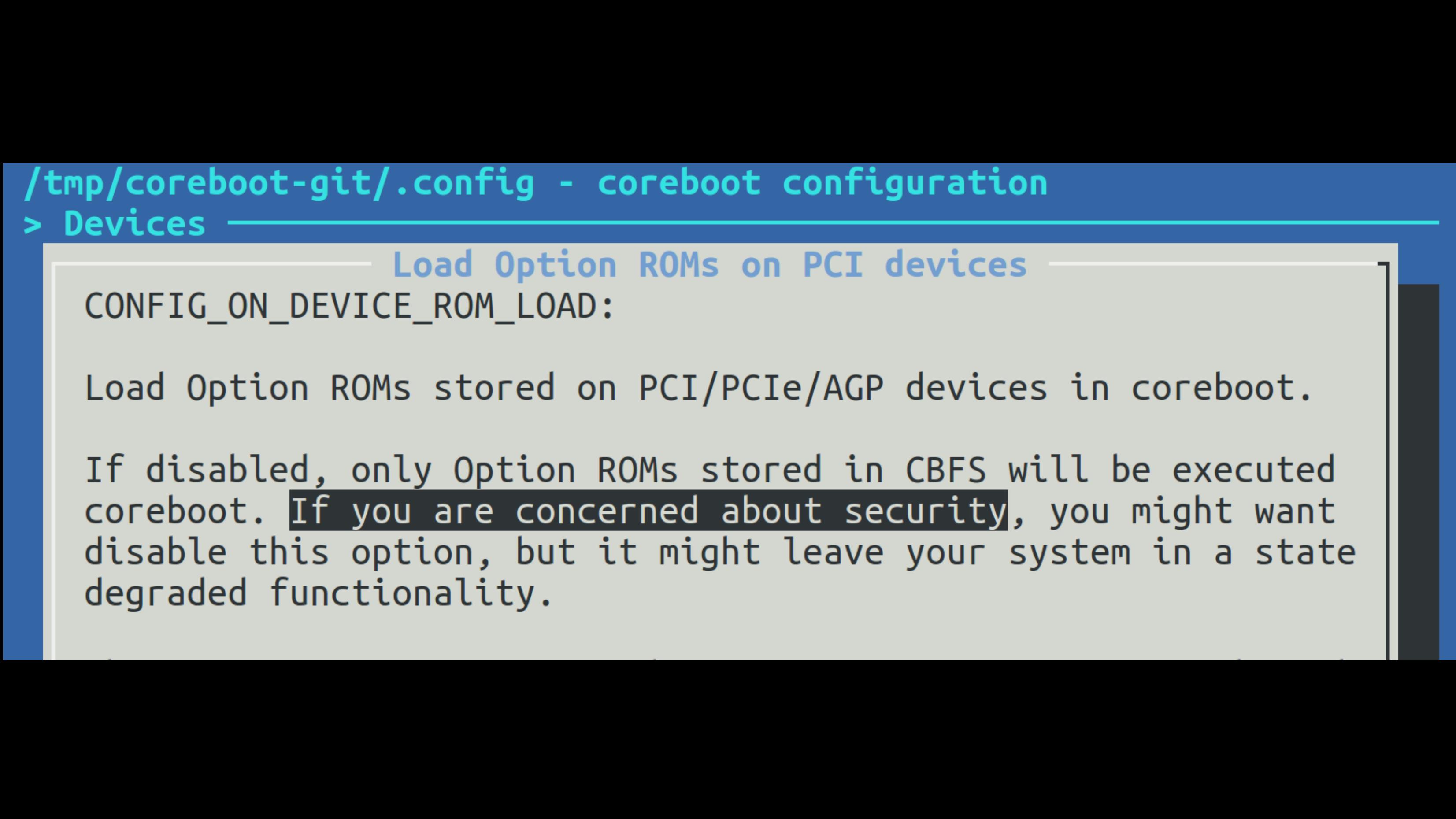 OptionROM in the Coreboot ConfigurationThunderstrike